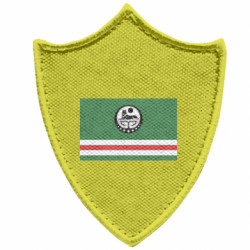 Шеврони загострений щит