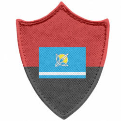 Шеврони загострений щит