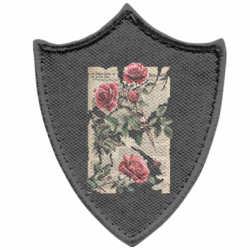 Шевроны заостренный щит