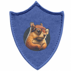 Шеврони загострений щит