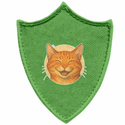 Шевроны заостренный щит