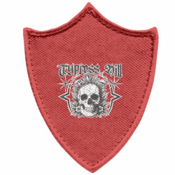 Шевроны заостренный щит