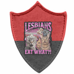 Шеврони загострений щит