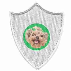 Шевроны заостренный щит