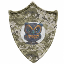 Шевроны заостренный щит