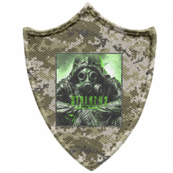 Шеврони загострений щит