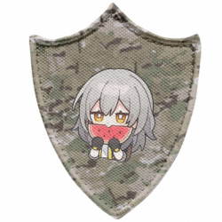 Шевроны заостренный щит