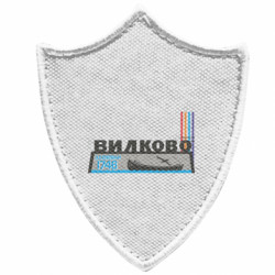 Шеврони загострений щит