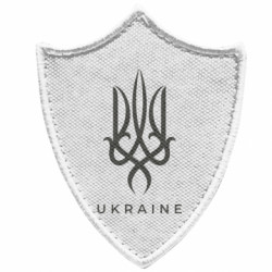 Шеврони загострений щит
