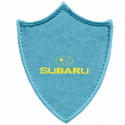 Шеврони загострений щит