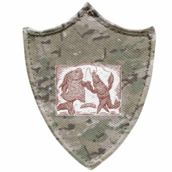 Шевроны заостренный щит