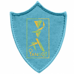 Шеврони загострений щит