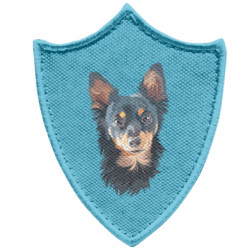 Шевроны заостренный щит