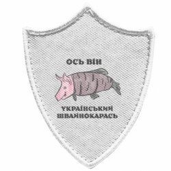 Шевроны заостренный щит