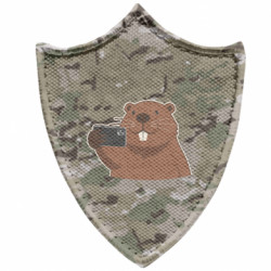 Шевроны заостренный щит