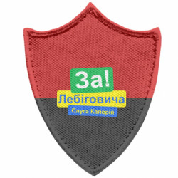 Шевроны заостренный щит