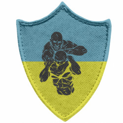 Шевроны заостренный щит