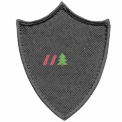 Шеврони загострений щит