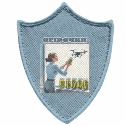 Шевроны заостренный щит