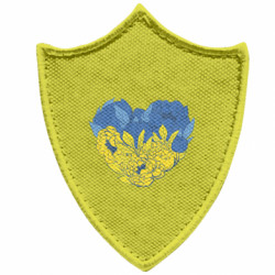 Шевроны заостренный щит