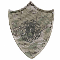 Шевроны заостренный щит