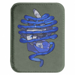 Шеврони закруглені прямокутні - FATLINE