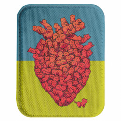 Шеврони закруглені прямокутні - FATLINE