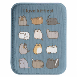 Шеврони закруглені прямокутні - FATLINE