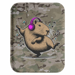 Шеврони закруглені прямокутні - FATLINE