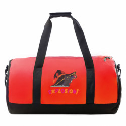 Спортивні сумки