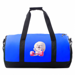 Спортивні сумки