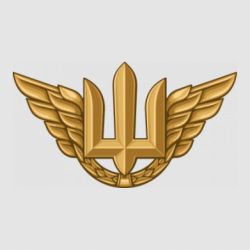Стикер Беретный знак Воздушных сил Вооруженных сил Украины