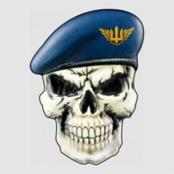 Стикер Череп. Воздушные силы Украины - FATLINE Стикер Череп. Воздушные силы Украины