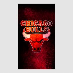 Стикер Chicago Bulls - FATLINE Стикер Chicago Bulls