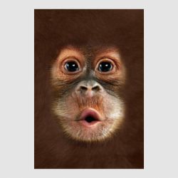 Стикер Cute monkey face