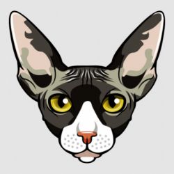 Стикеры - FATLINE