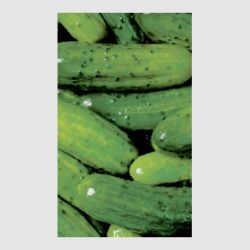 Стикер Огурцы - FATLINE Стикер Огурцы