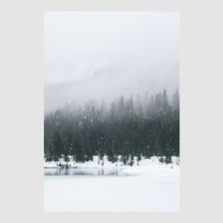 Стікери - FATLINE