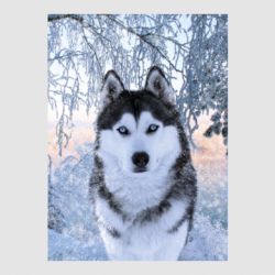 Стікери - FATLINE