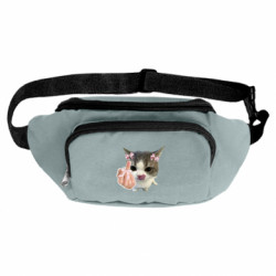 Сумки-бананки