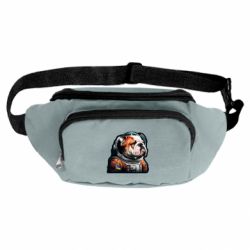 Сумки-бананки