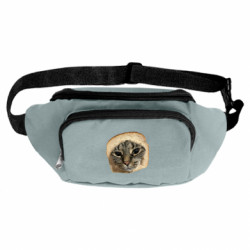 Сумки-бананки