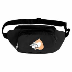 Сумки-бананки