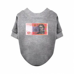 Свитшоты для собак