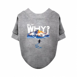 Світшоти для собак