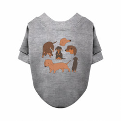 Свитшоты для собак