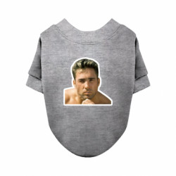 Свитшоты для собак