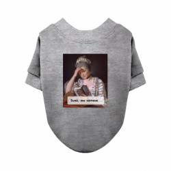 Свитшоты для собак