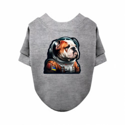 Свитшоты для собак