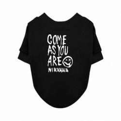 Свитшоты для собак